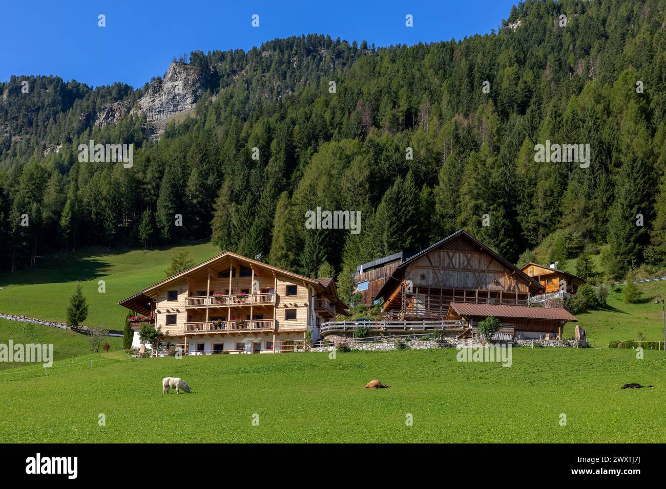 Immeubles à Pufels, Bulla, ci-dessus équipés Ulrich, Tyrol du Sud Banque D'Images