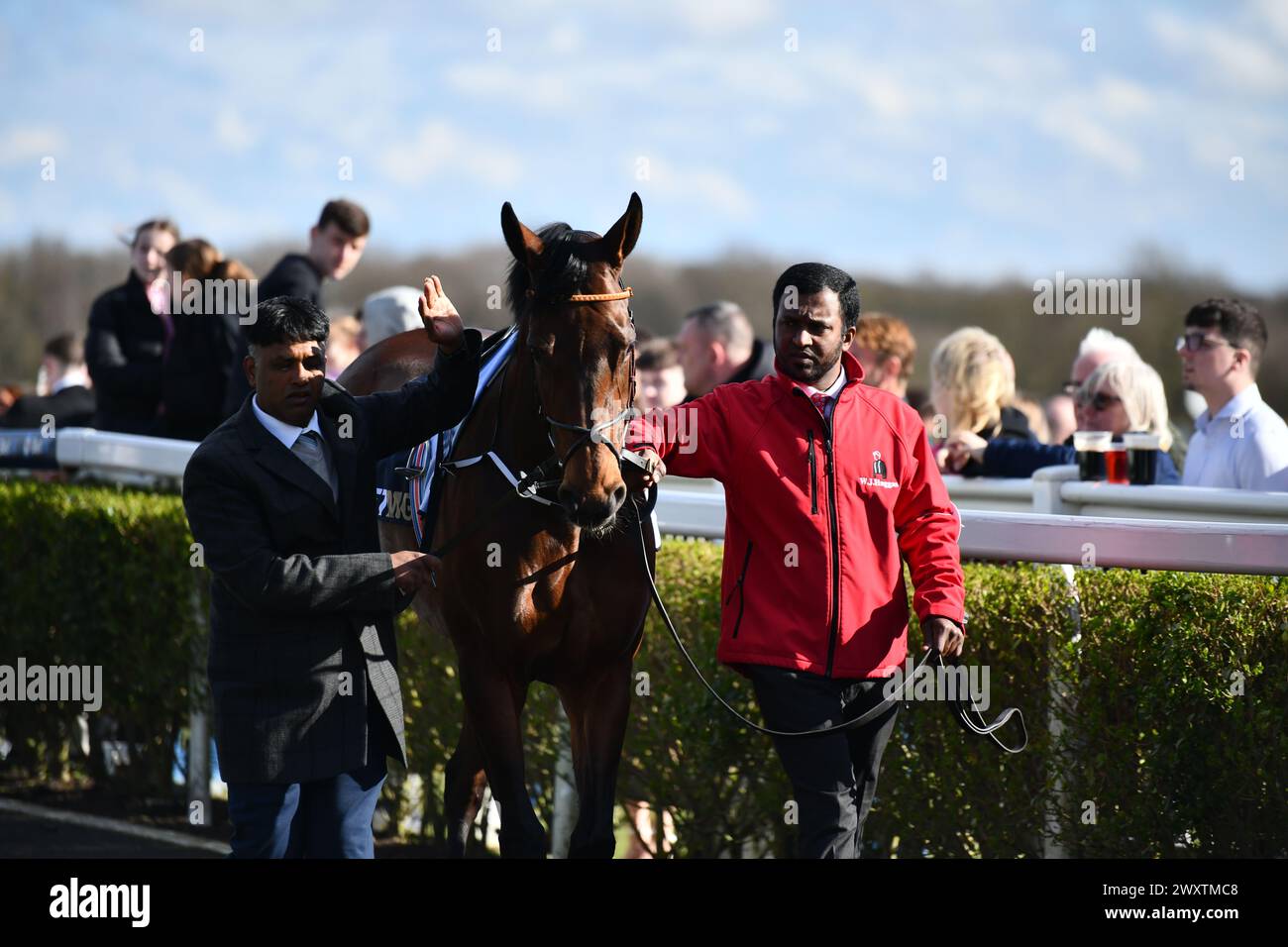 XI championnats tous temps Banque D'Images