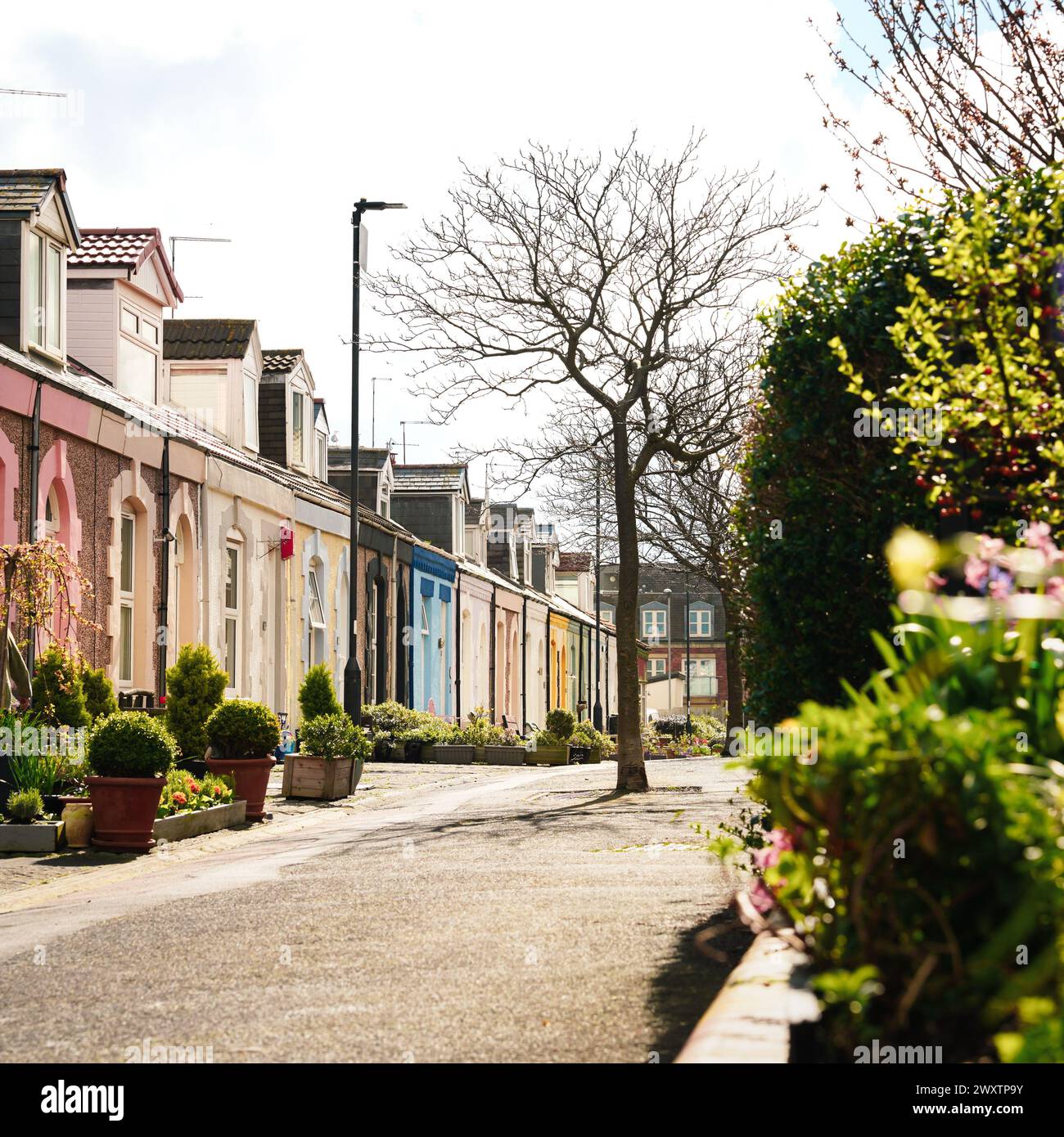 Jolies maisons peintes sur la rue Simpson à Cullercoats, North Tyneside Banque D'Images