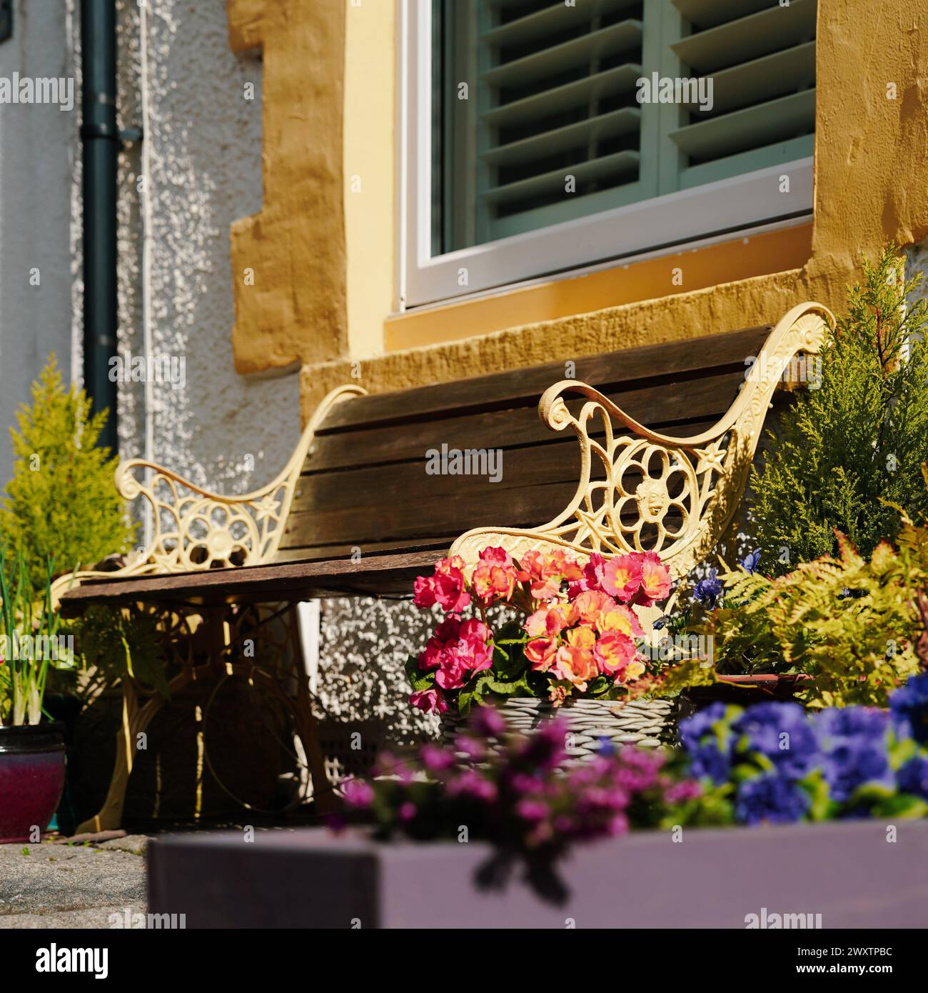 Jolies maisons peintes sur la rue Simpson à Cullercoats, North Tyneside Banque D'Images