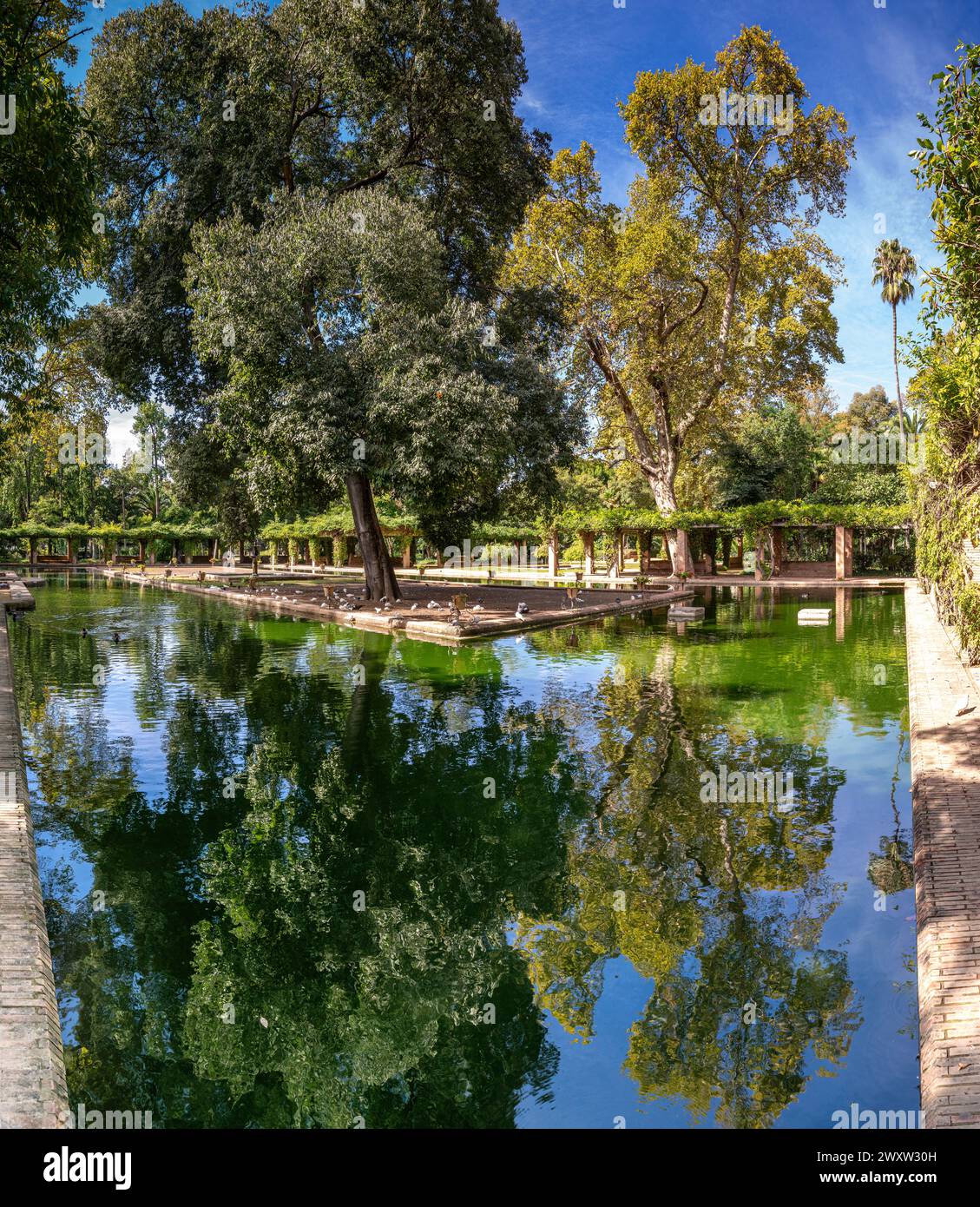 La Glorieta de los Lotos (belvédère de lotus) dans le parc Maria Luisa de Séville reflète une végétation luxuriante dans des eaux tranquilles. Banque D'Images