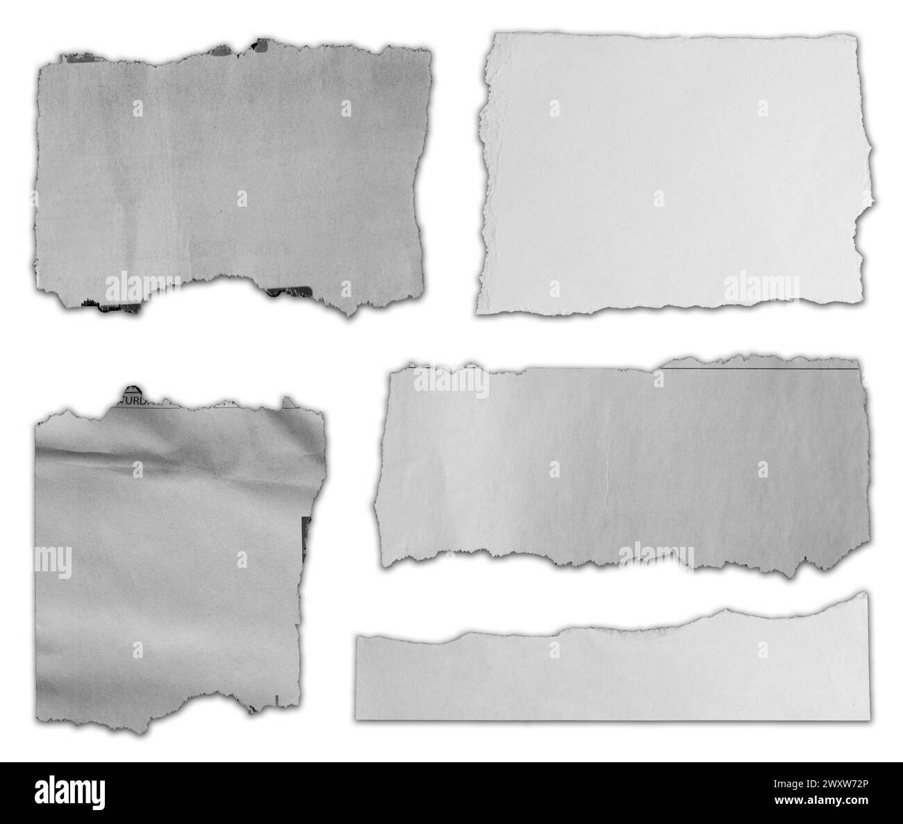 Cinq morceaux de papier déchiré sur fond blanc Banque D'Images