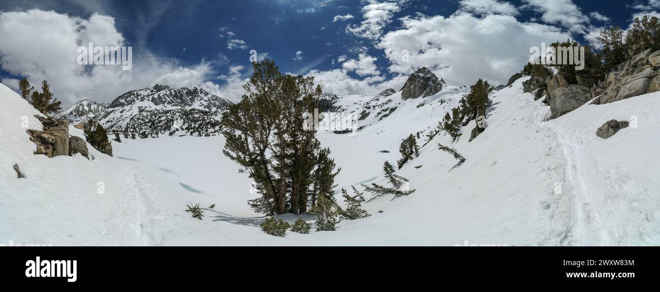 Pacific Crest Trail. Une chaîne de montagnes enneigée avec un arbre au premier plan. Le ciel est bleu et les nuages blancs Banque D'Images