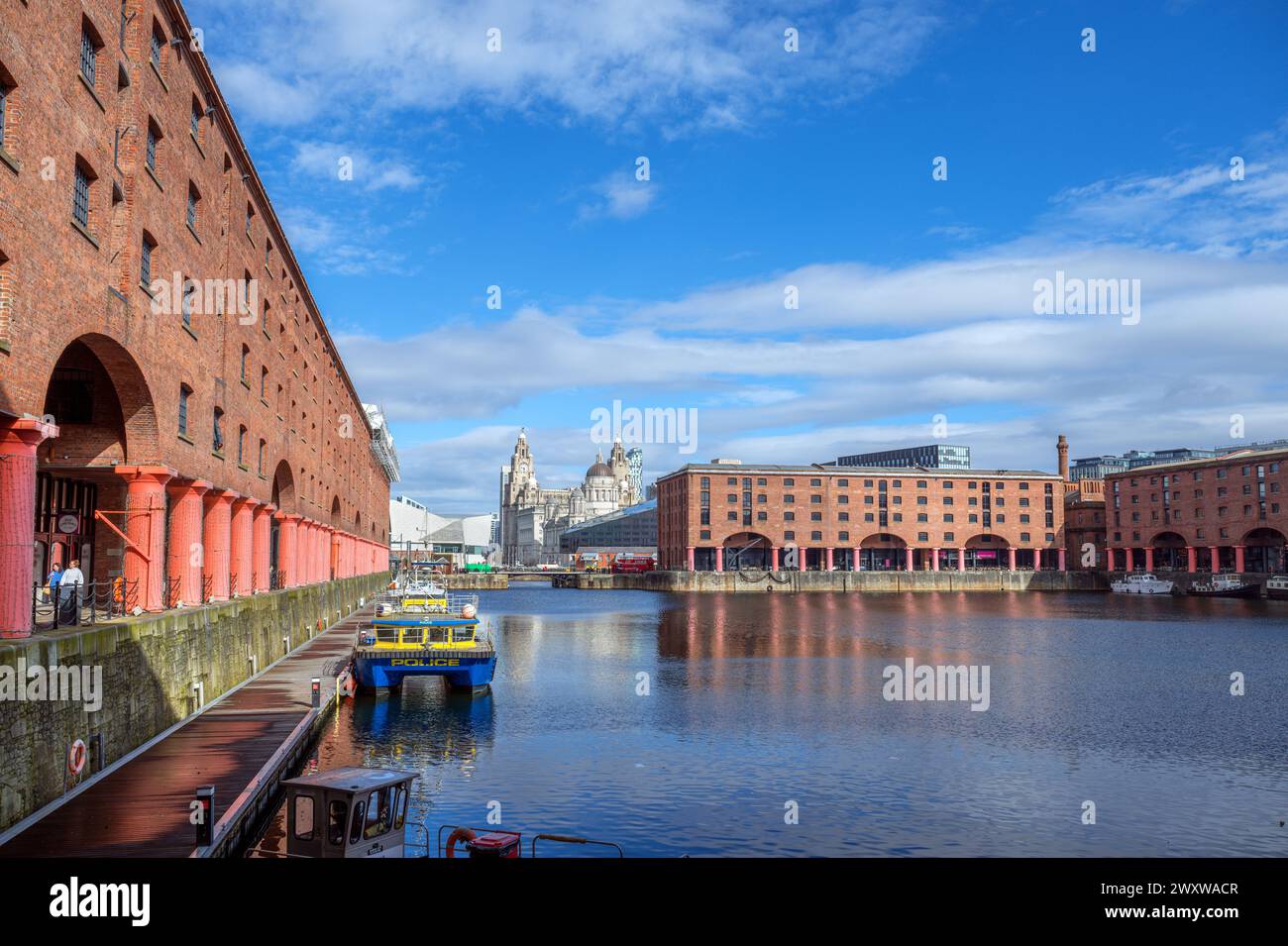 Albert Dock regardant vers les trois grâces et le Musée de Liverpool, Liverpool, Merseyside, Angleterre, Royaume-Uni Banque D'Images