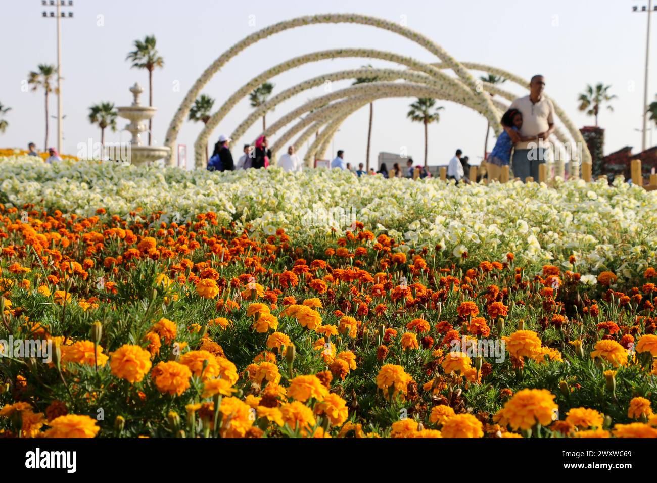 Yanbu, région de Madinah, Arabie saoudite. 23 mars 2019 - Fête des fleurs - événement annuel organisé par la Commission royale Banque D'Images