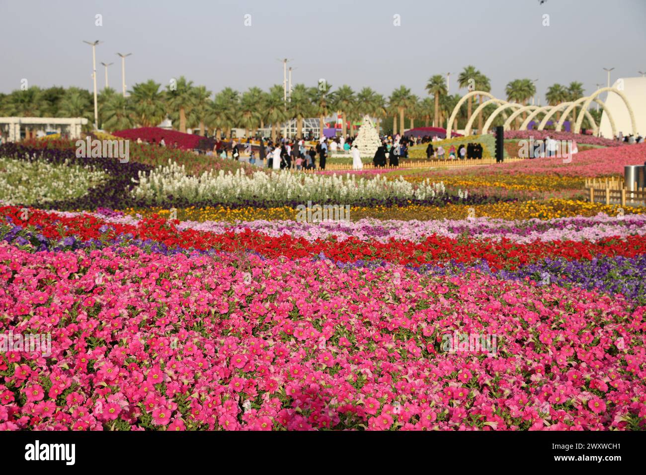 Yanbu, région de Madinah, Arabie saoudite. 23 mars 2019 - Fête des fleurs - événement annuel organisé par la Commission royale Banque D'Images