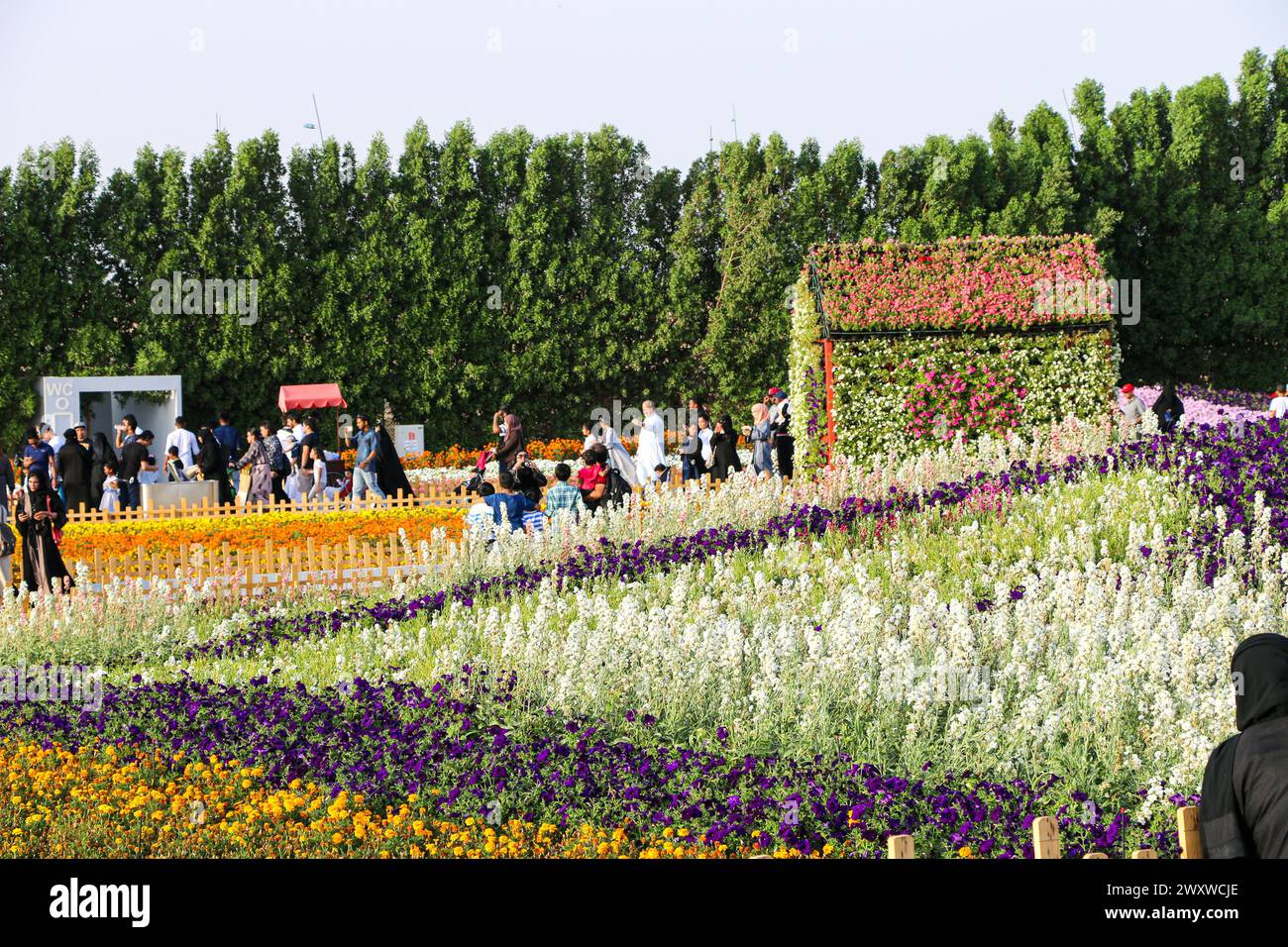 Yanbu, région de Madinah, Arabie saoudite. 23 mars 2019 - Fête des fleurs - événement annuel organisé par la Commission royale Banque D'Images