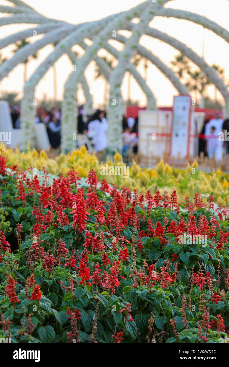 Yanbu, région de Madinah, Arabie saoudite. 23 mars 2019 - Fête des fleurs - événement annuel organisé par la Commission royale Banque D'Images