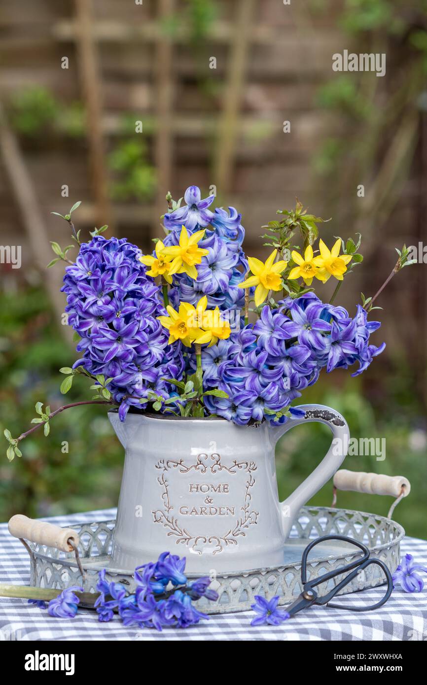 bouquet de jacinthes violettes et de fleurs de narcisse jaunes dans une cruche vintage Banque D'Images