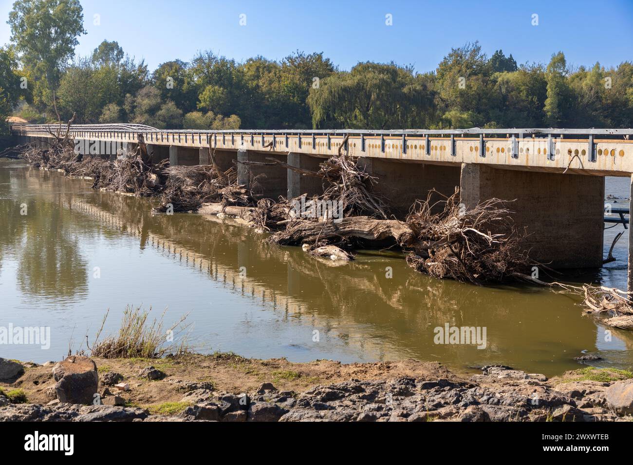 Paysage de pont en béton sur la rivière Vaal en Afrique du Sud. C'était après que l'eau d'inondation ait lavé des débris contre le pont. Banque D'Images