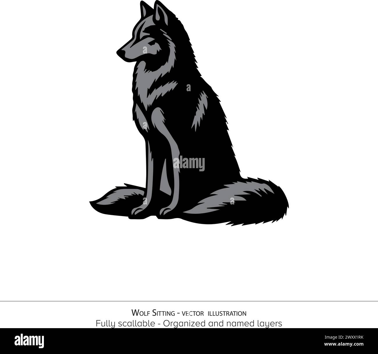 Illustration vectorielle de loup assis - Noir et blanc, isolé sur fond transparent Illustration de Vecteur
