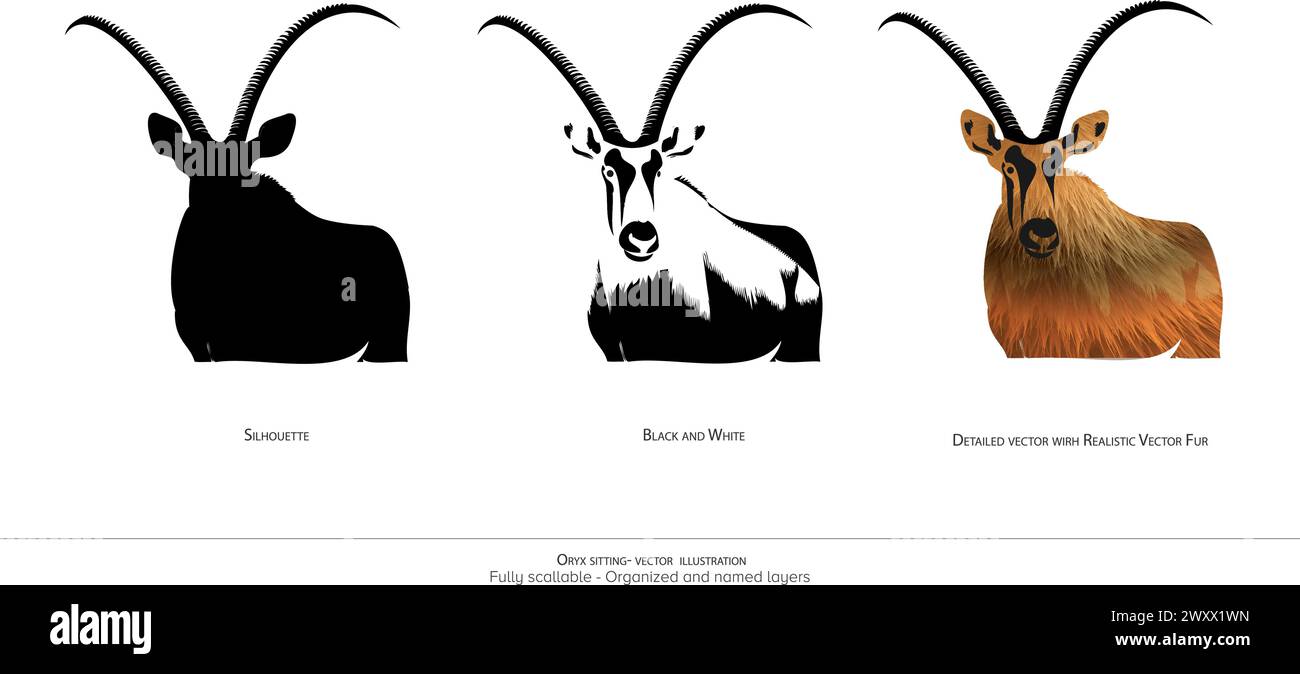 Illustration vectorielle réaliste Oryx Standing Silhouette avec des calques organisés Illustration de Vecteur