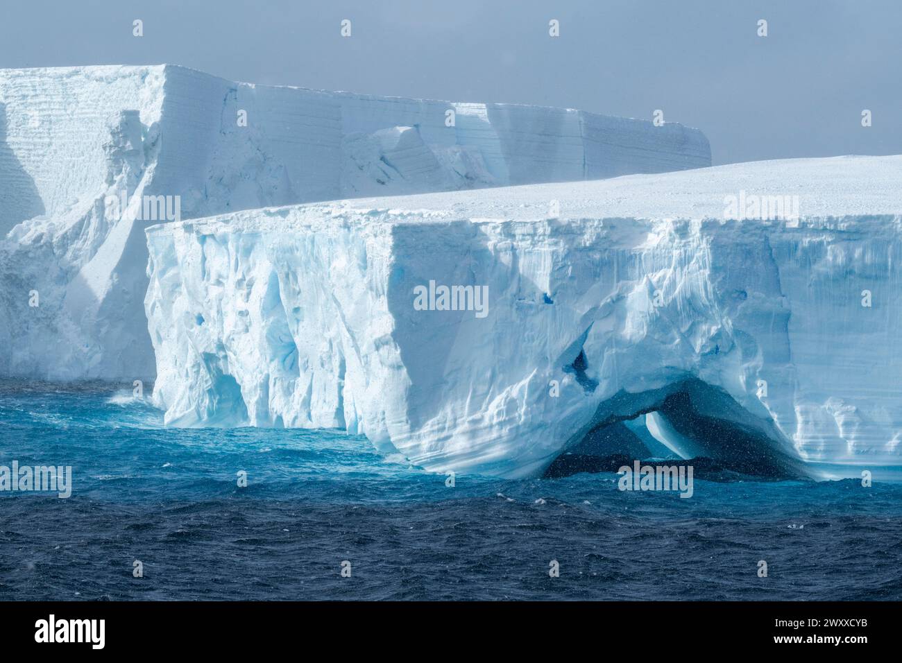 Antarctique, mer de Ross, Cap Adare. Icebergs tabulaires au cap Adare dans la neige. Banque D'Images