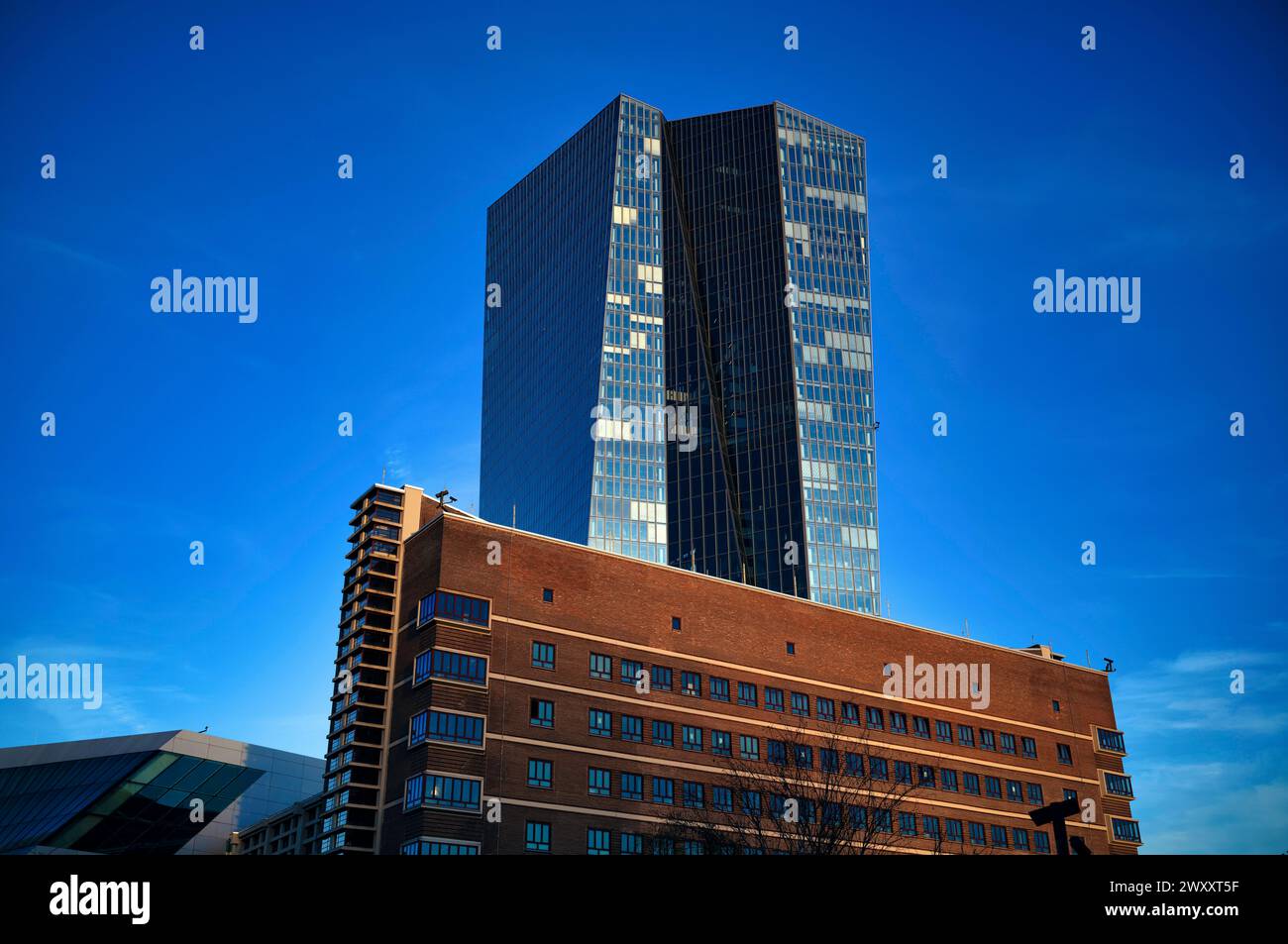 Banque centrale européenne, BCE, Osthafen, Ostende, heure bleue, Francfort-sur-le-main, Hesse, Allemagne Banque D'Images