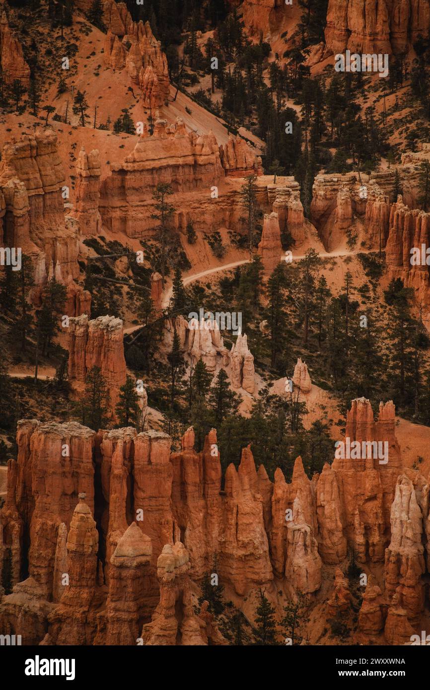 Vue sur les formations rocheuses Hindu temples hoodoo dans Bryce Canyon Banque D'Images