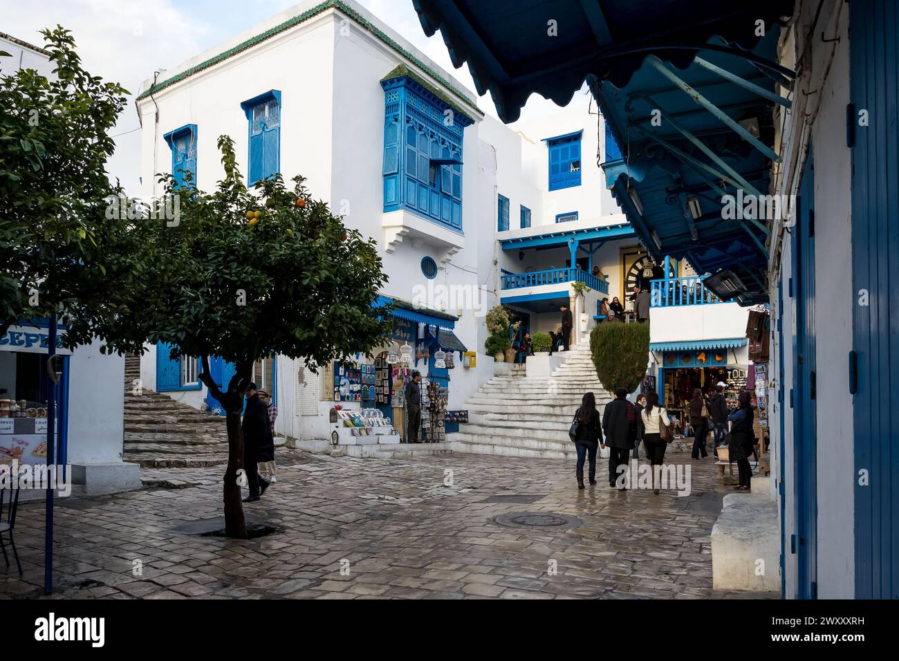 Détail de Sidi Bou Said, une ville pittoresque et une attraction touristique populaire située dans le nord de la Tunisie, à environ 20 km au nord-est de Tunis Banque D'Images