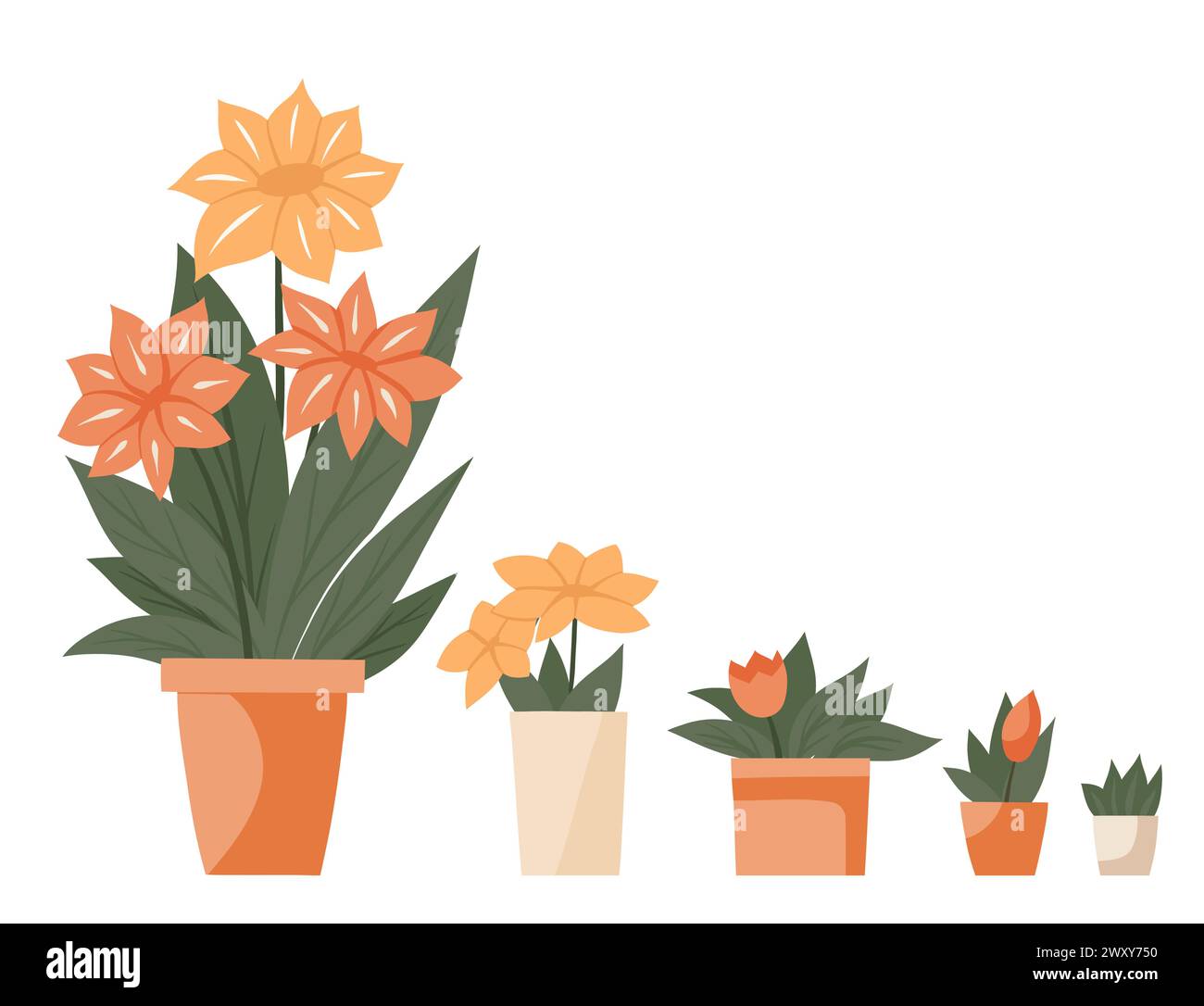 Ensemble de vecteur de fleurs de bande dessinée dans des pots en argile. Collection de cliparts de plantes plates dans des vases isolés du fond. Élément de design floral Illustration de Vecteur