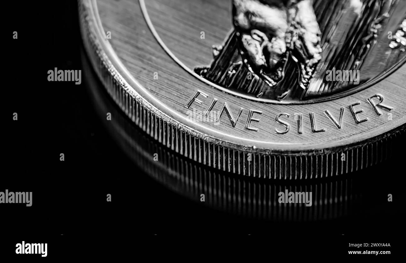 Macro gros plan de Silver Bullion coin sur fond noir miroir Banque D'Images