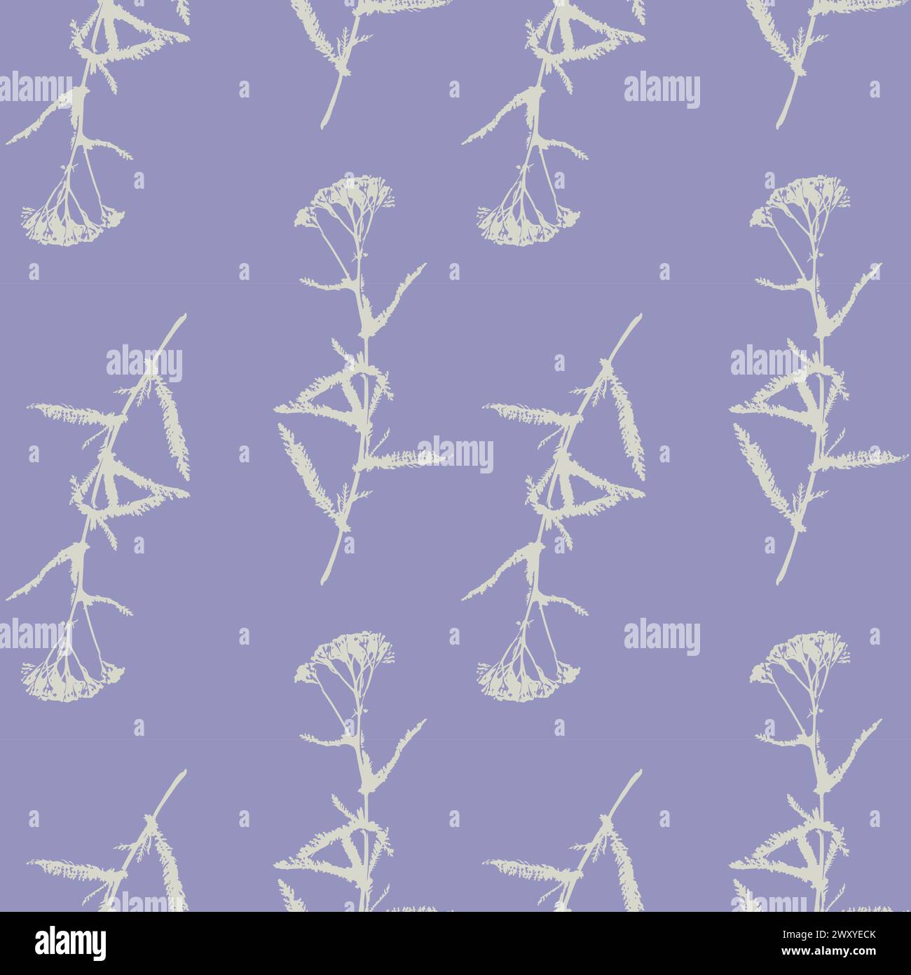 Achillea Yarrow pattern, impression de silhouette d'herbe avec des fleurs d'Achillea Millefolium sur fond pastel violet violet. Illustration vectorielle Illustration de Vecteur