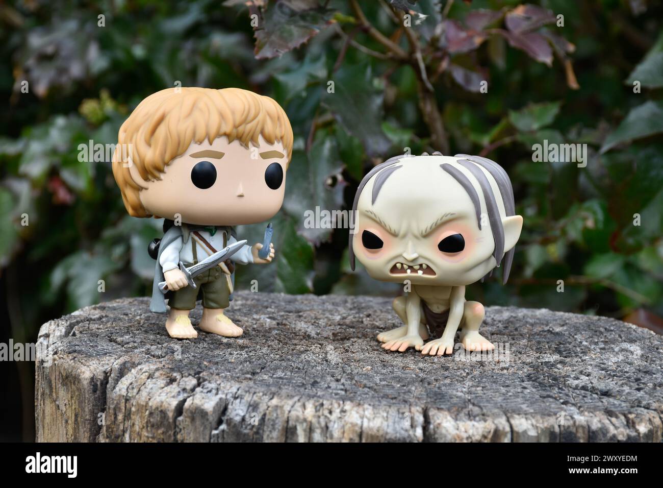 Funko Pop figurines d'action de hobbit Sam et Gollum du film fantastique le Seigneur des anneaux. Forêt sombre, souche d'arbre, feuilles vertes. Banque D'Images