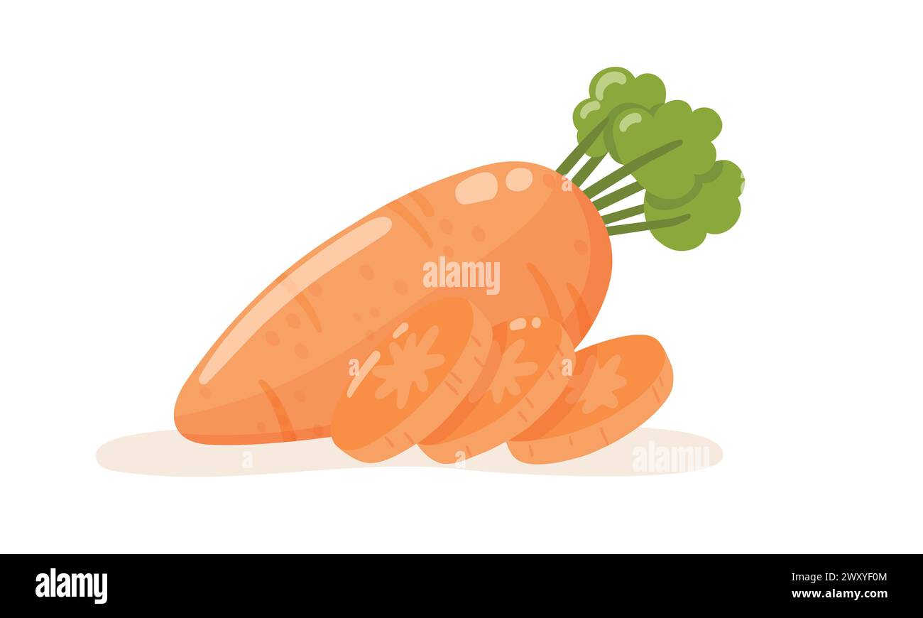 Carotte et tranches. Vecteur isolé Illustration de Vecteur