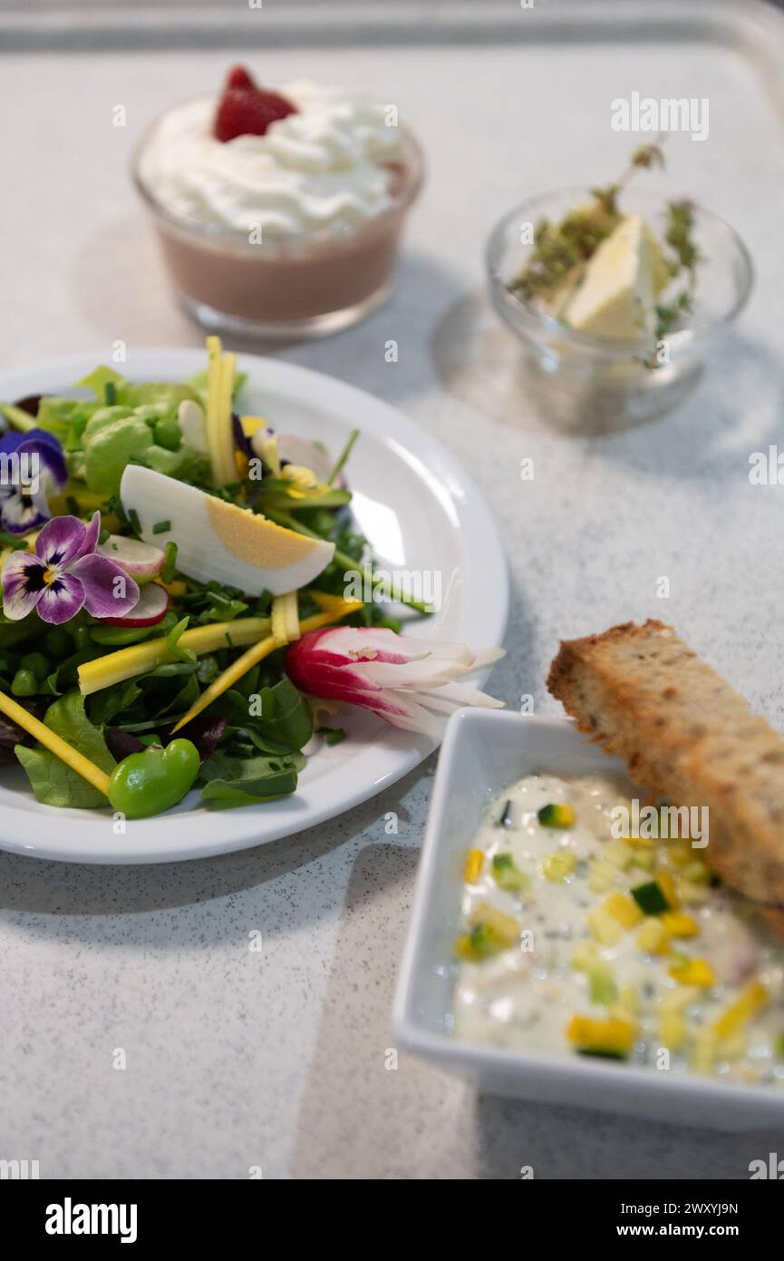 Privas, lycée « collège Bernard de Ventadour » (sud-est de la France) : préparation des repas à la cafétéria de l’école Banque D'Images