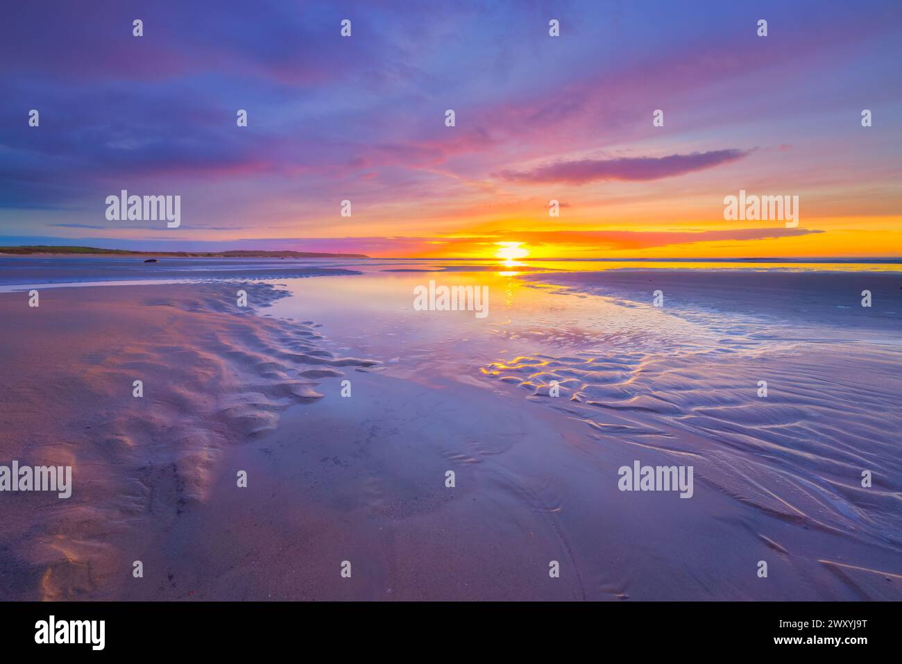 Un beau coucher de soleil sur la plage près de Wissant, Côte d'Opale, France Banque D'Images