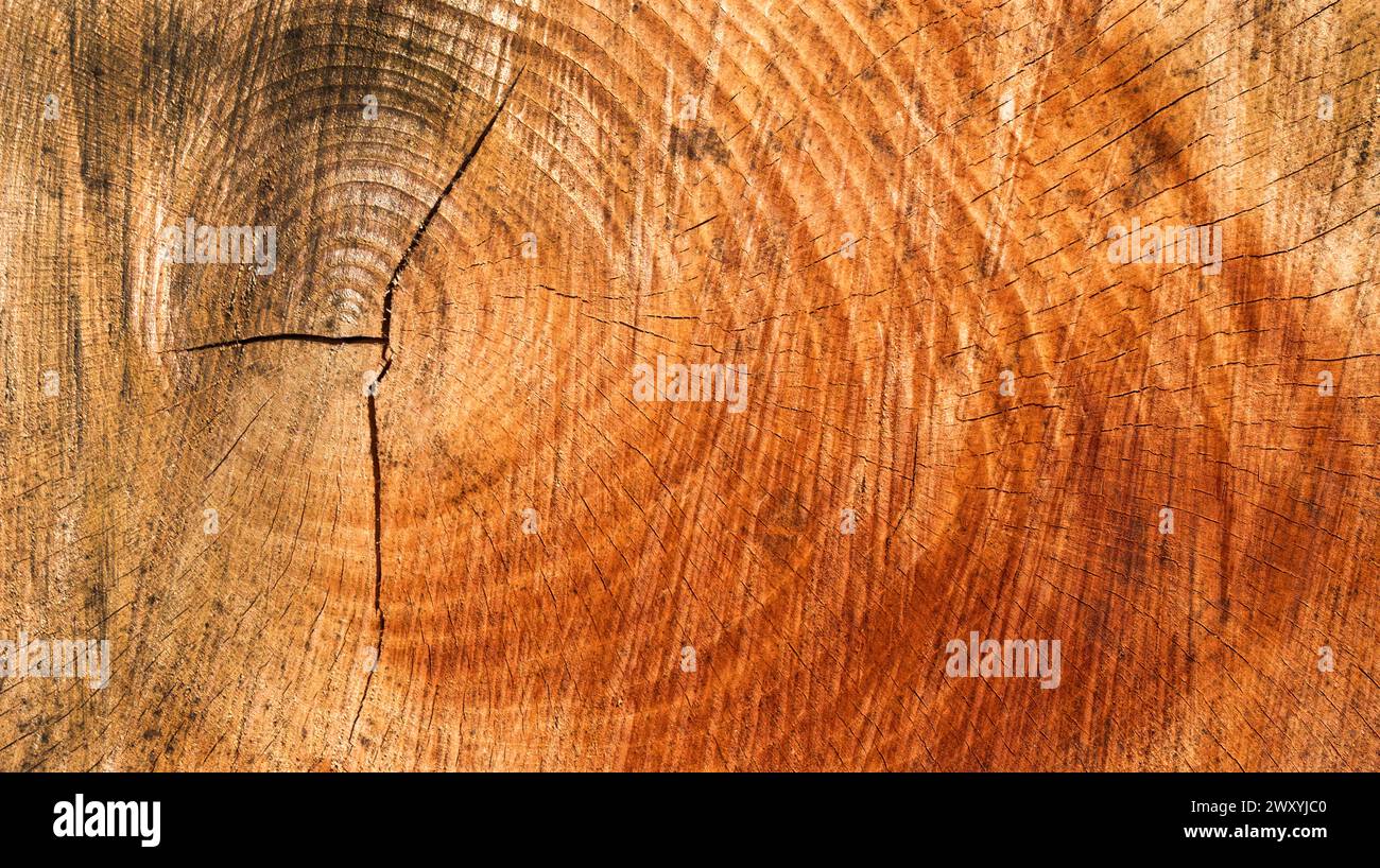 Conception de fond abstrait texturé en bois vieilli Banque D'Images