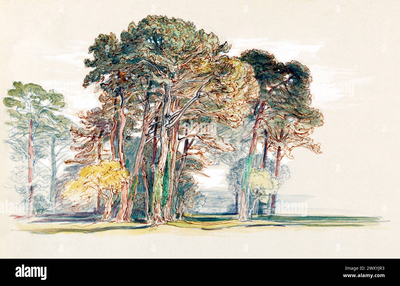 Les pins d'El Monte, Californie par Samuel Colman. Original de la Smithsonian institution. Banque D'Images