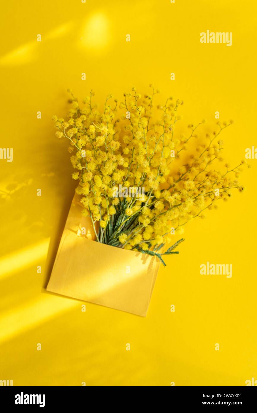 D'en haut des fleurs de mimosa jaune vif jetant un coup d'œil à partir d'une enveloppe dorée réfléchissante sur un fond jaune vif, soulignant la chaleur du spri Banque D'Images