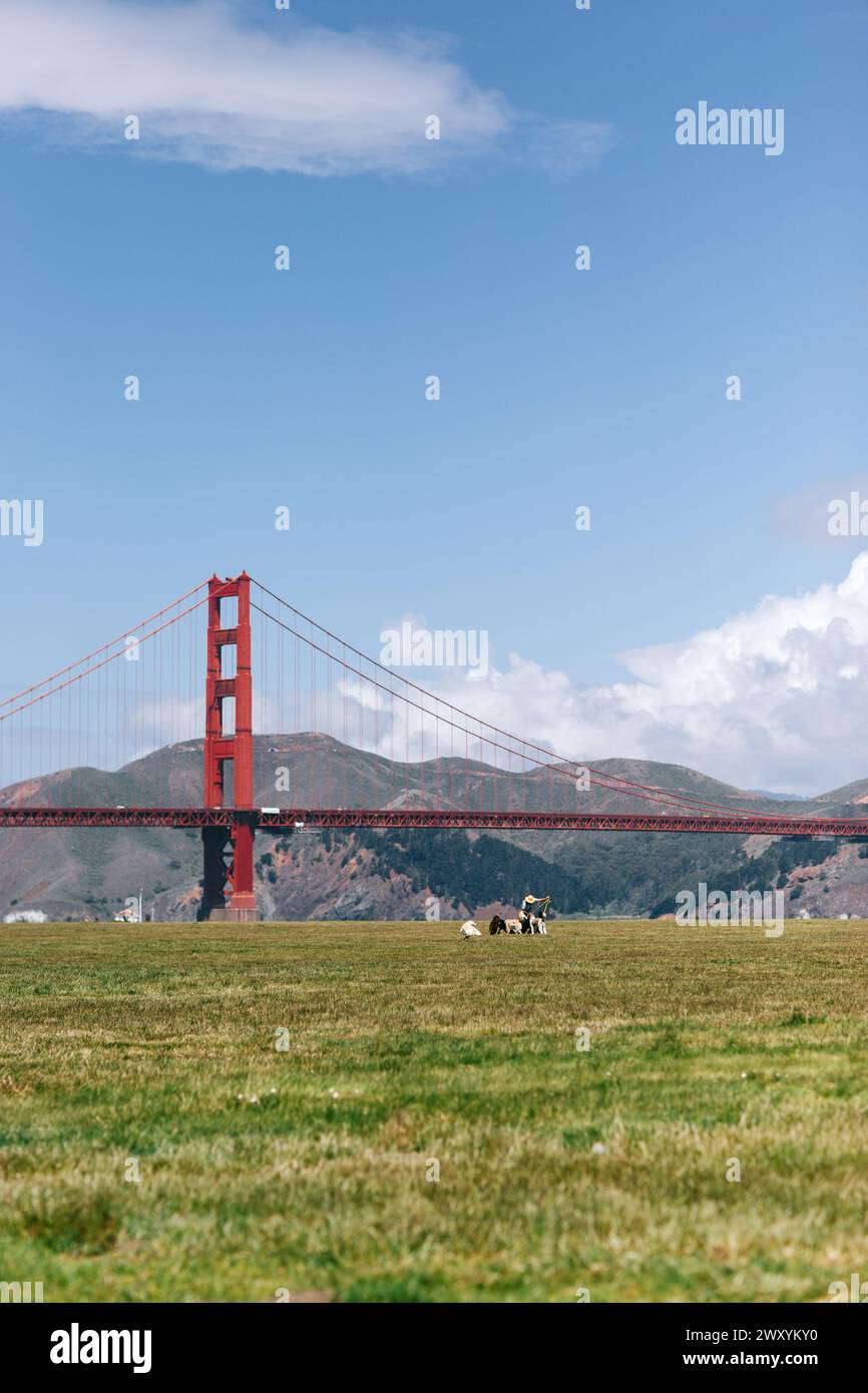 Les pique-niqueurs se détendent sur un terrain luxuriant avec l'emblématique Golden Gate Bridge qui s'élève majestueusement au loin sous un ciel printanier clair Banque D'Images