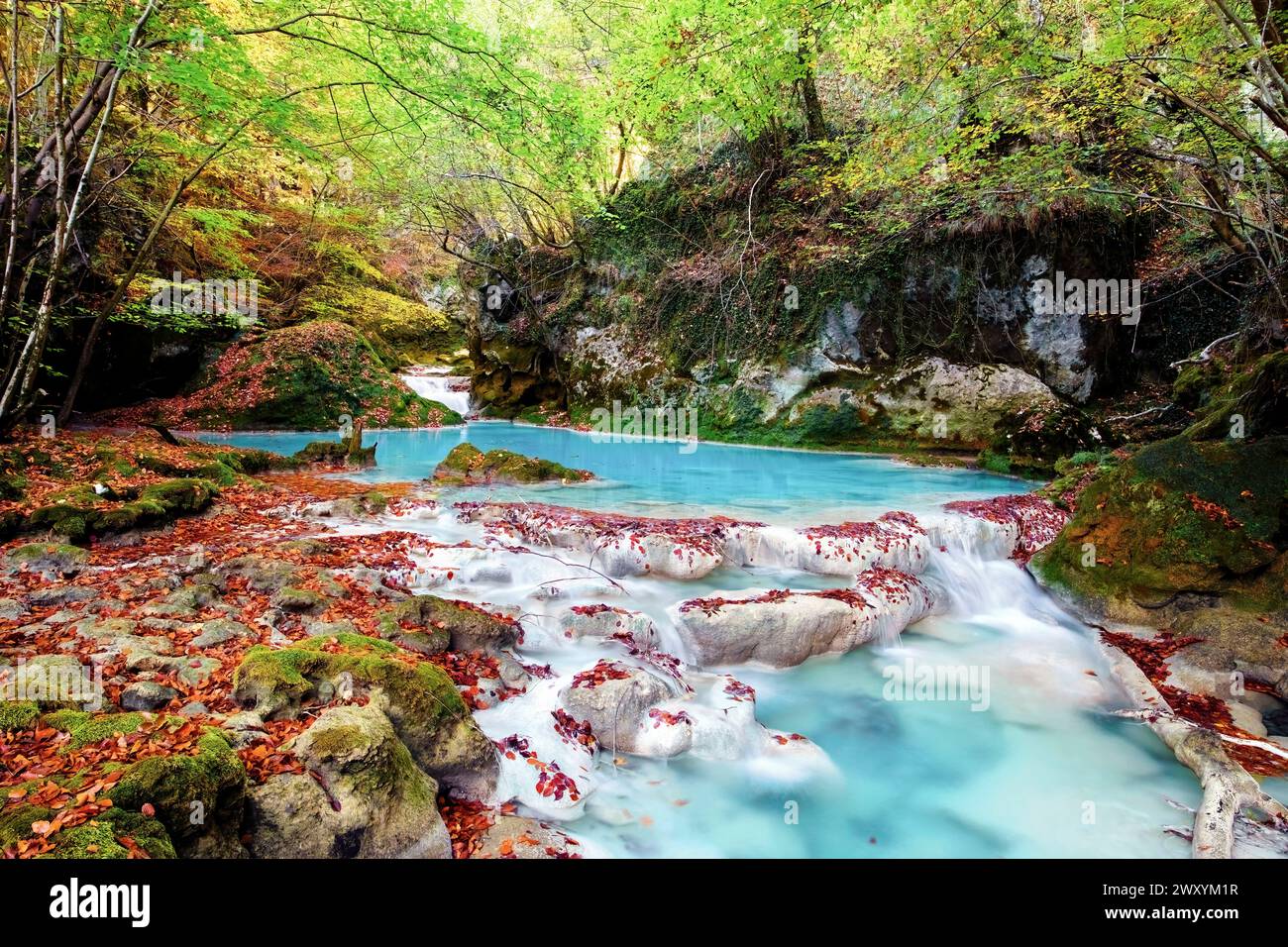 La rivière Urederra coule à travers la forêt d'Urbasa, créant une scène magique avec ses eaux turquoises et ses berges d'automne parsemées de feuilles Banque D'Images