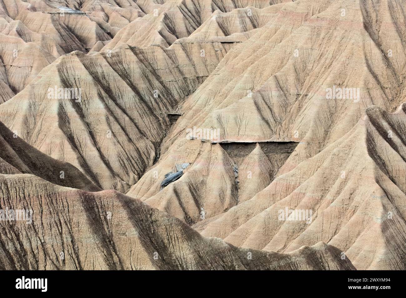 Une vue détaillée des schémas d'érosion accidentés et frappants trouvés dans la géographie des badlands, mettant en valeur l'art de la nature sous la forme d'une couche sédimentaire Banque D'Images