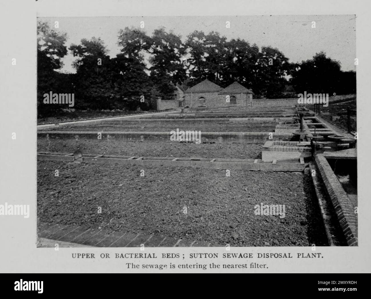 LITS SUPÉRIEURS OU BACTÉRIENS ; USINE DE TRAITEMENT DES EAUX USÉES DE SUTTON, ANGLETERRE. Les eaux usées pénètrent dans le filtre le plus proche. De l'article PROCÉDÉS BACTÉRIENS DE PURIFICATION DES EAUX USÉES. Par Rudolph Hering. Tiré de l'Engineering Magazine consacré au progrès industriel volume XV 1898 The Engineering Magazine Co Banque D'Images