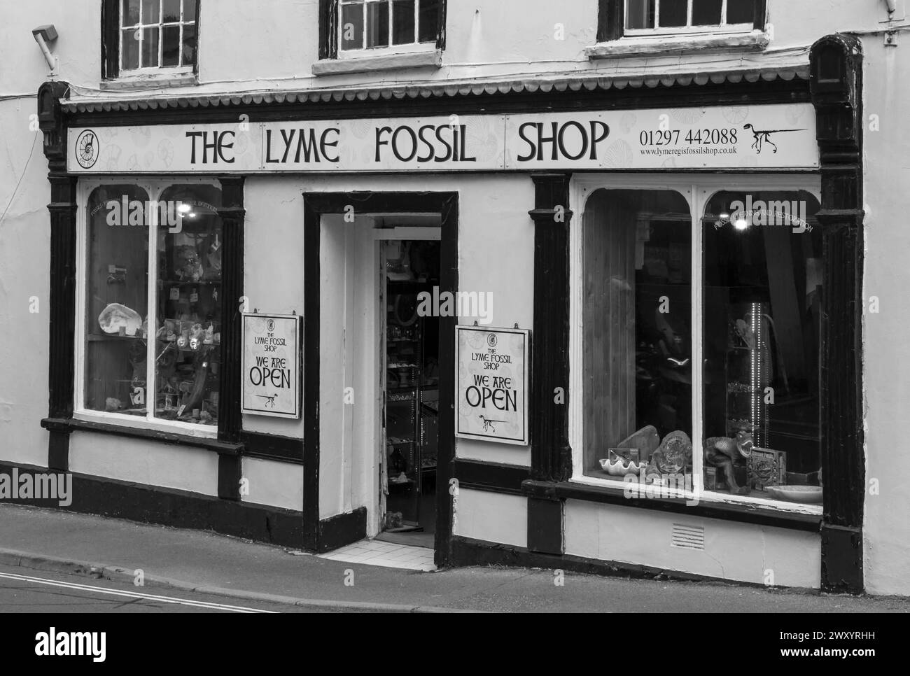 Le Lyme Fossil Shop à Lyme Regis, Dorset UK en mars Banque D'Images