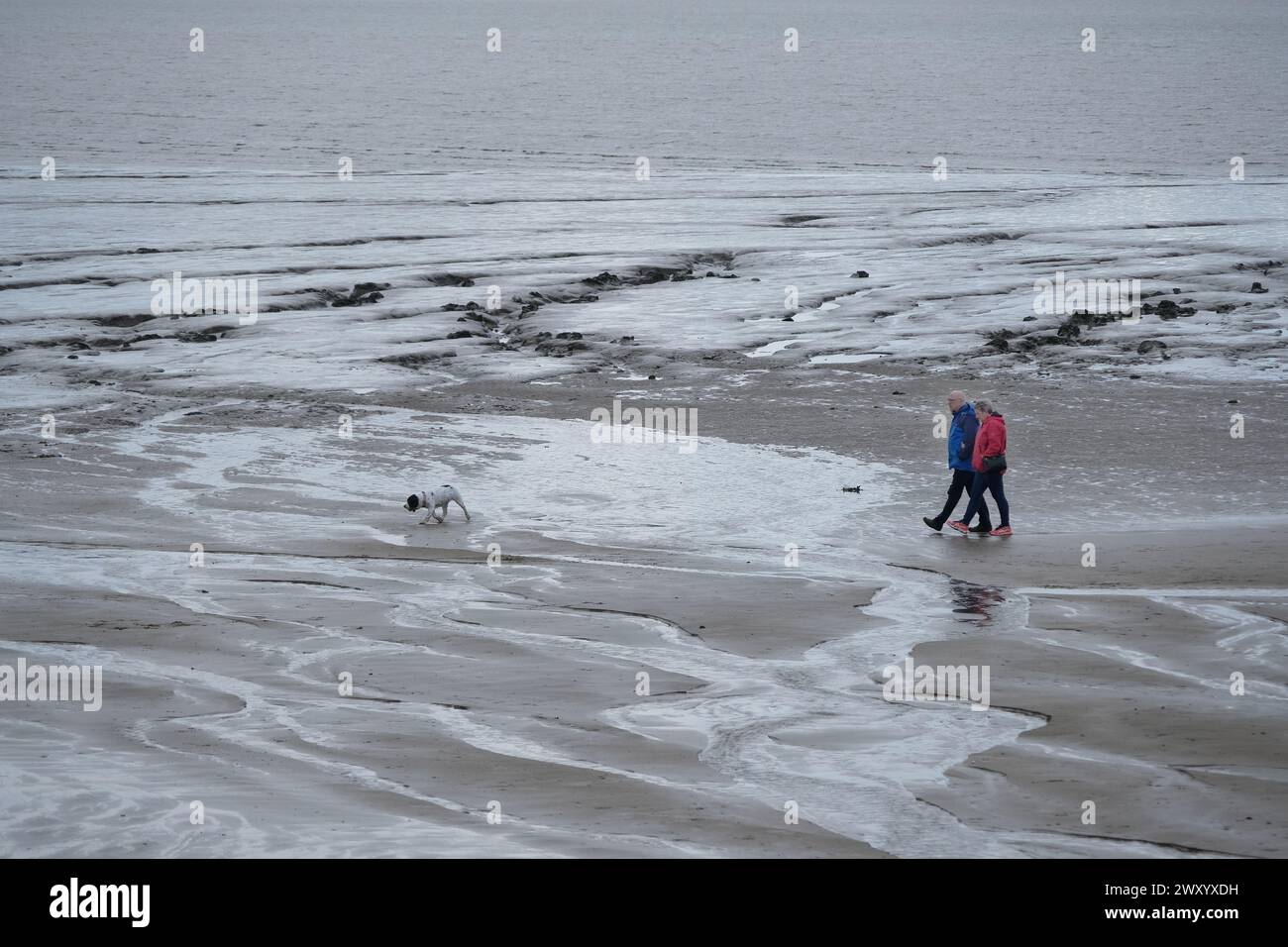 Deux personnes promenant leur chien sur une plage froide, humide, venteuse et pluvieuse. Banque D'Images