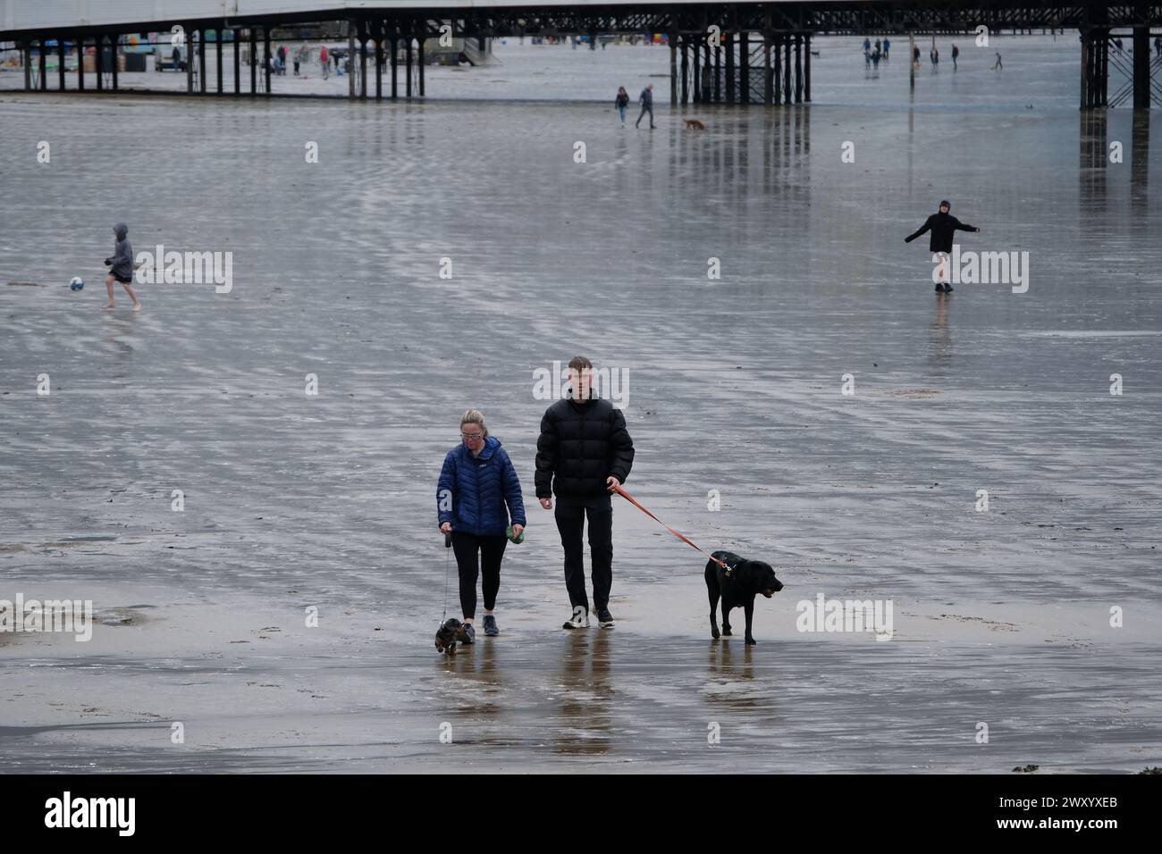 Deux personnes promenant leur chien sur une plage froide, humide, venteuse et pluvieuse. Banque D'Images