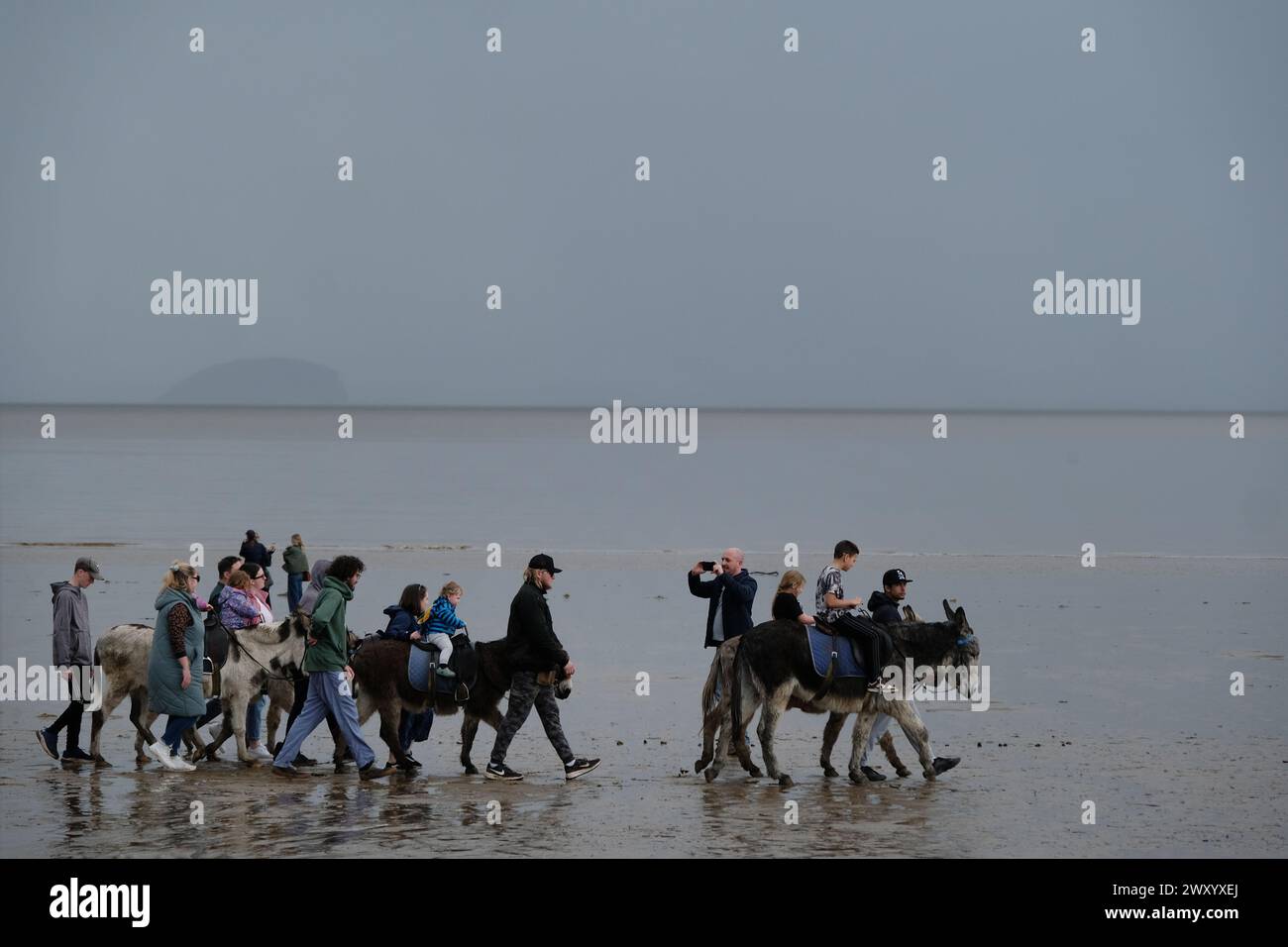 Les gens marchant sur une plage froide, humide, venteuse et pluvieuse avec des ânes. Banque D'Images