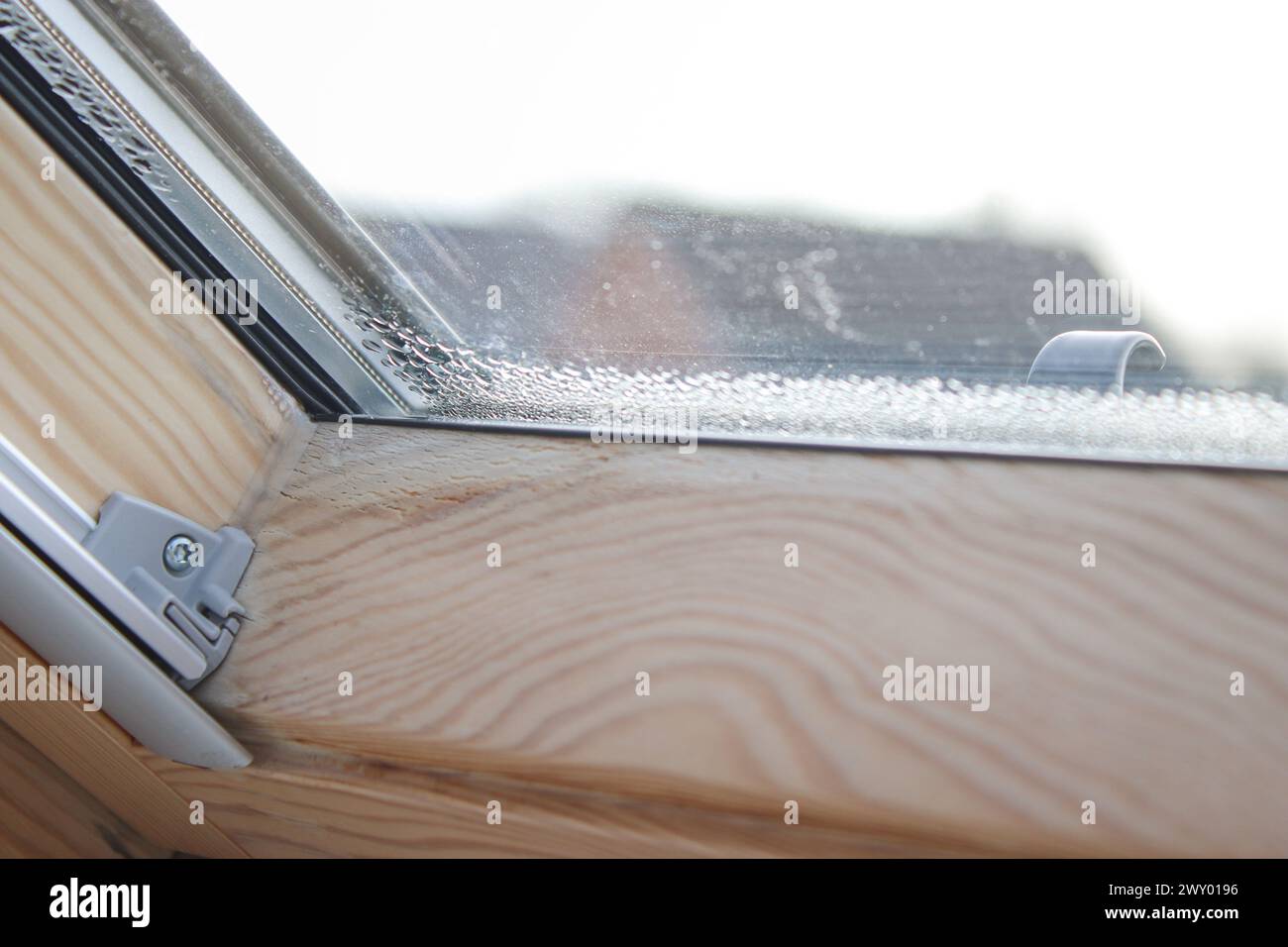 Gros plan de la condensation sur la fenêtre velux dans une maison, des gouttes d'eau et de l'humidité élevée Banque D'Images