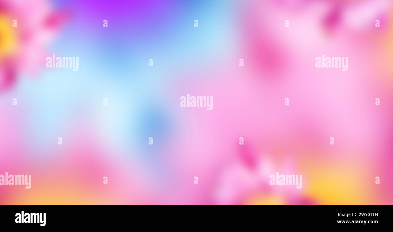 Bokeh flou doux coloré. Fond abstrait flou de fleurs sauvages Banque D'Images Bokeh flou doux coloré. Fond abstrait flou de fleurs sauvages Banque D'Images