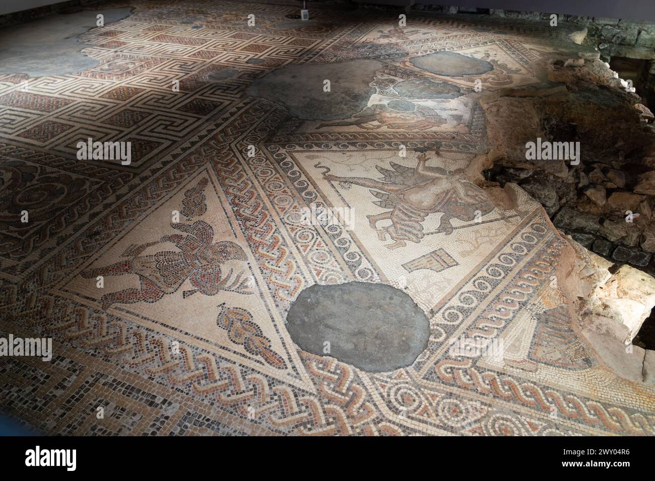 Le Triclinium (salle à manger) dans la gamme ouest de Chedworth Roman Villa. Le sol en mosaïque montre des mythes associés à Bacchus, Dieu du vin. ROYAUME-UNI Banque D'Images