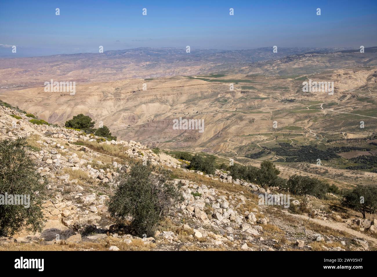 point de vue vers la terre promise à l'église commémorative moïse et au musée au mont nebo jordan Banque D'Images