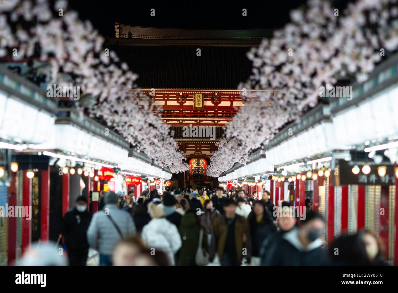 Tokyo, Japon - février 29 2024 : les gens marchent la rue Nakamise-dori vers le temple du bouddhisme Senso-Ji dans le quartier Asakusa de Tokyo au Japon. Banque D'Images