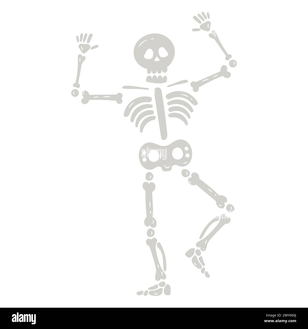 Les os du squelette humain Illustration de Vecteur