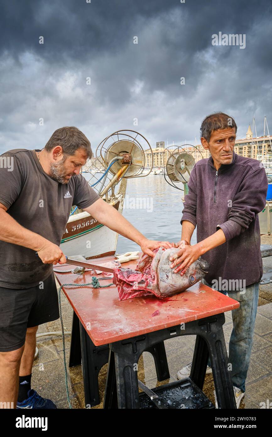 Marché aux poissons au Vieux Port en plein centre-ville au bord de la mer Méditerranée. Marseille, France Banque D'Images