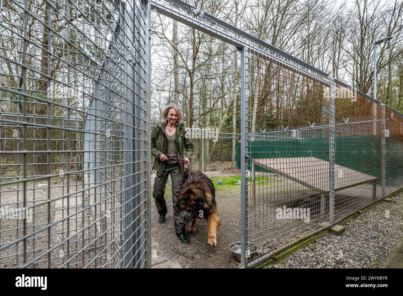Hradec Kralove, République tchèque. 03rd Apr, 2024. Refuge pour animaux à Hradec Kralove, République tchèque, 3 avril 2024. Crédit : David Tanecek/CTK photo/Alamy Live News Banque D'Images