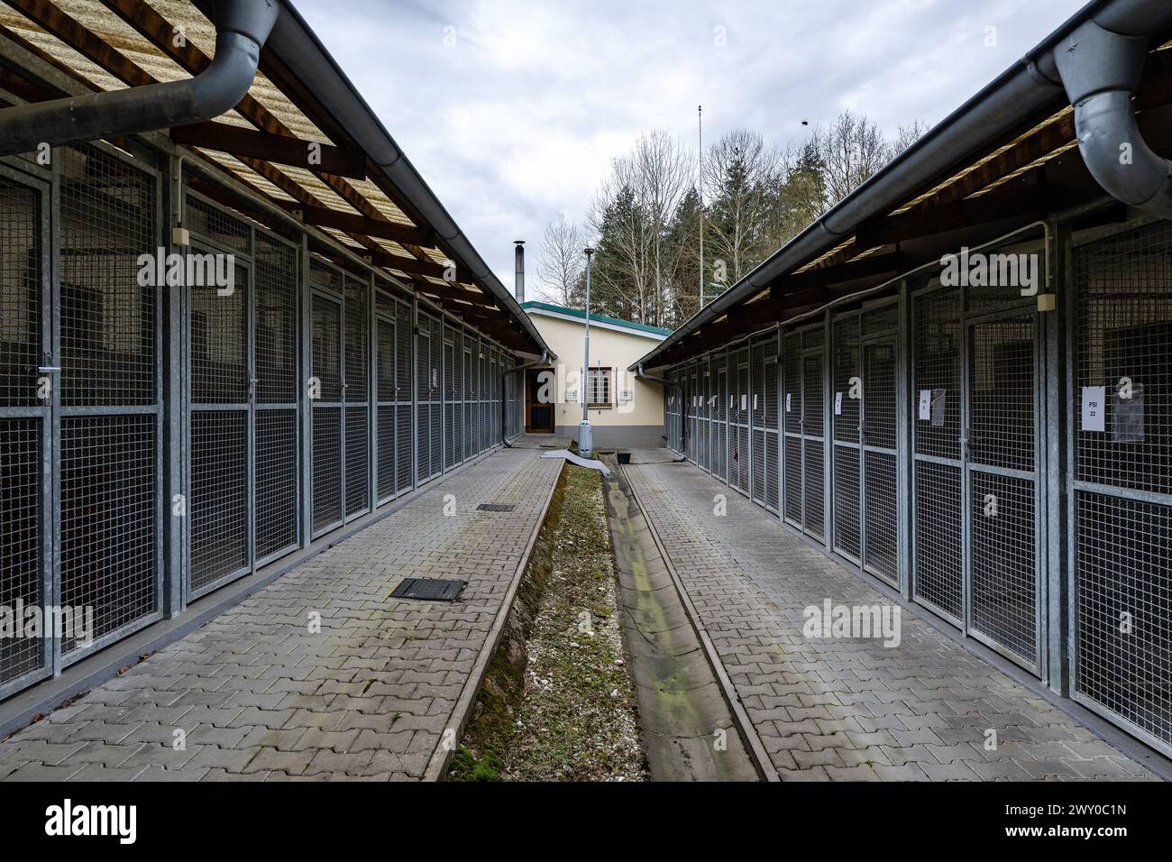 Hradec Kralove, République tchèque. 03rd Apr, 2024. Refuge pour animaux à Hradec Kralove, République tchèque, 3 avril 2024. Crédit : David Tanecek/CTK photo/Alamy Live News Banque D'Images