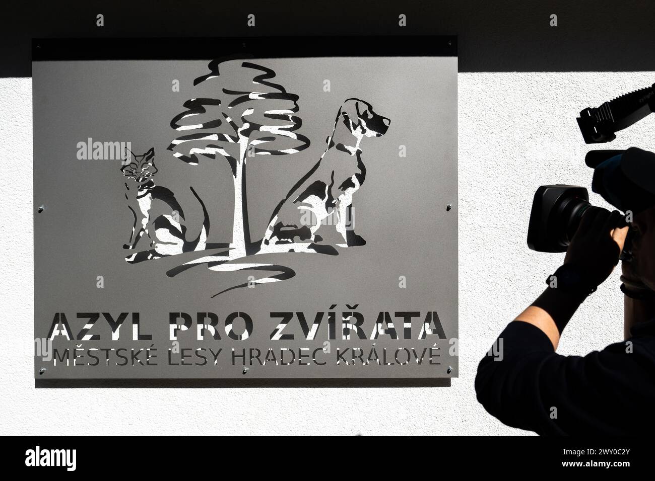 Hradec Kralove, République tchèque. 03rd Apr, 2024. Refuge pour animaux à Hradec Kralove, République tchèque, 3 avril 2024. Crédit : David Tanecek/CTK photo/Alamy Live News Banque D'Images