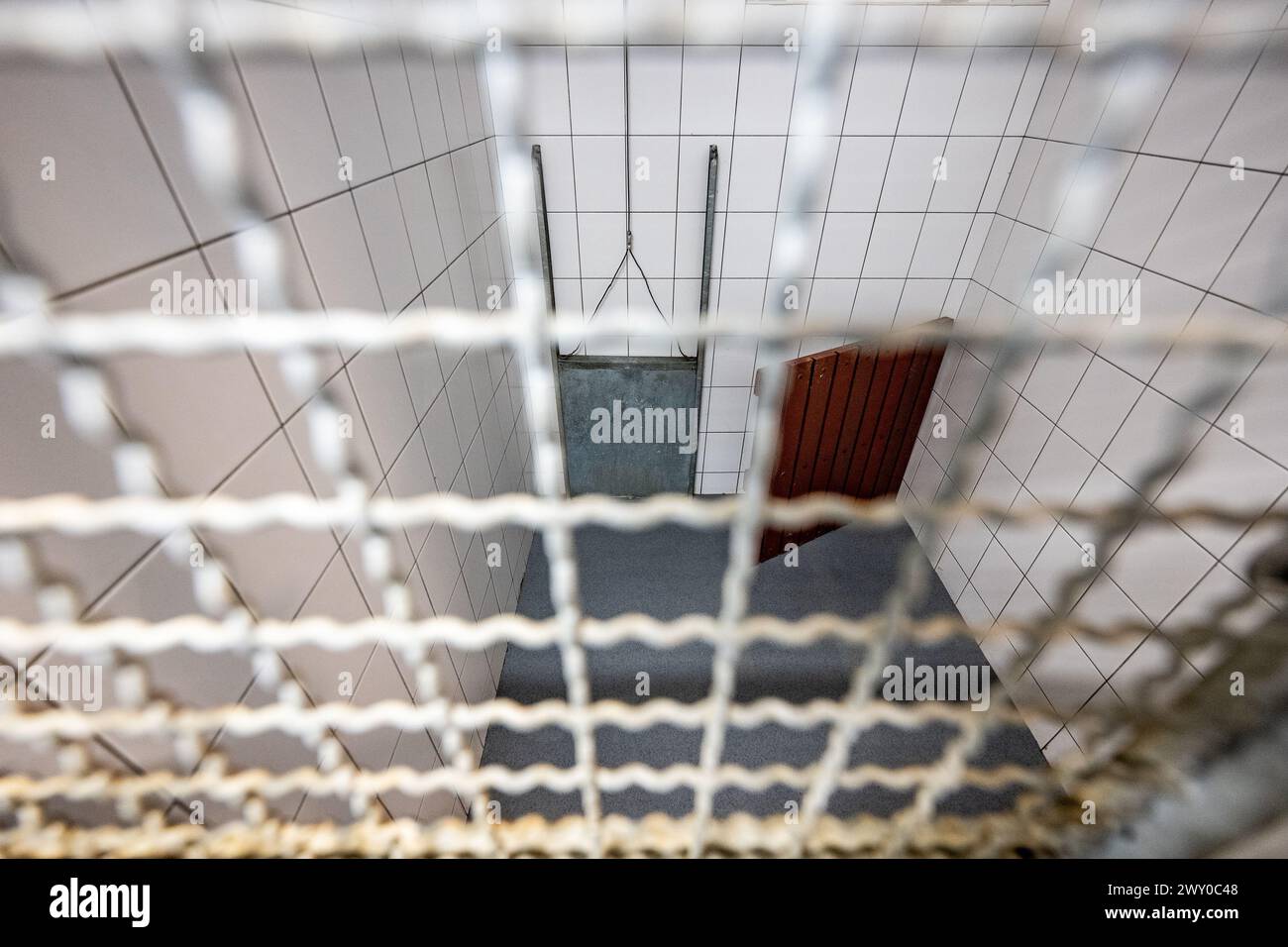 Hradec Kralove, République tchèque. 03rd Apr, 2024. Refuge pour animaux à Hradec Kralove, République tchèque, 3 avril 2024. Crédit : David Tanecek/CTK photo/Alamy Live News Banque D'Images