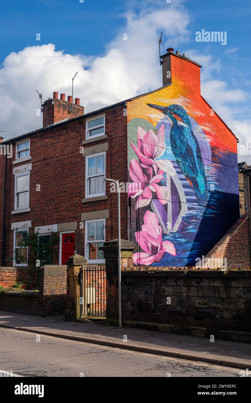 Une fresque murale de l'artiste Sarah Yates représentant un martin-pêcheur et des magnolias sur le côté d'une maison à Chapel Street, Belper, Derbyshire Banque D'Images